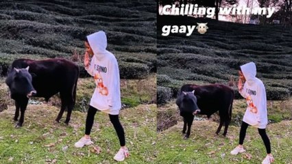 Jasmin Bhasin ने की गाय संग मस्ती; Aly Goni ने खींची ये फोटो | FilmiBeat