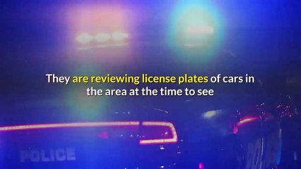 Lady Gaga's dogs recovered but mystery only deepens about the violent