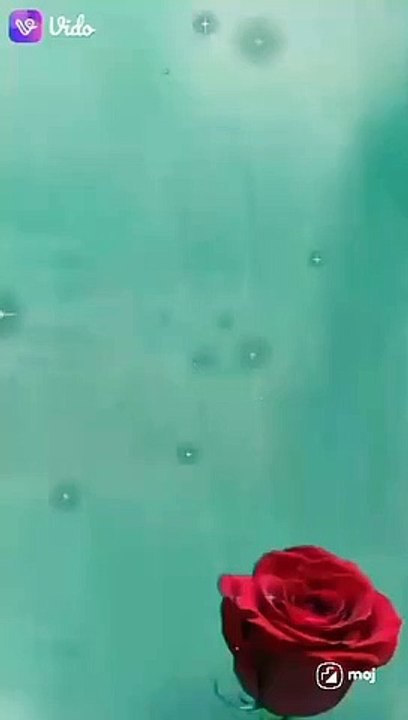 Video_1614583392287