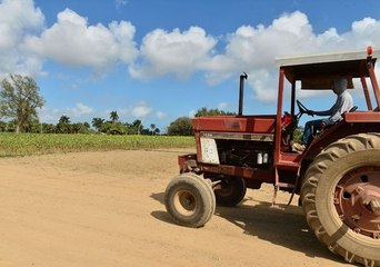 États-Unis : les agriculteurs blancs privés des aides destinées à réduire leur endettement