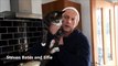 Missing cat reunited with owner