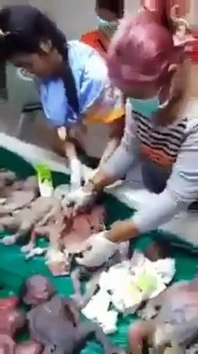Baby factory