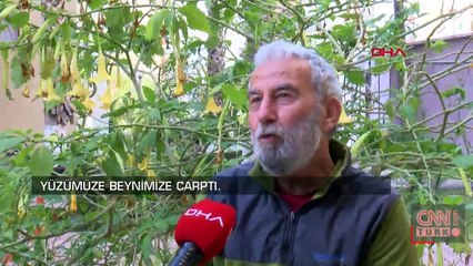 Küresel ısınmayı gözler önüne seren iki fotoğraf