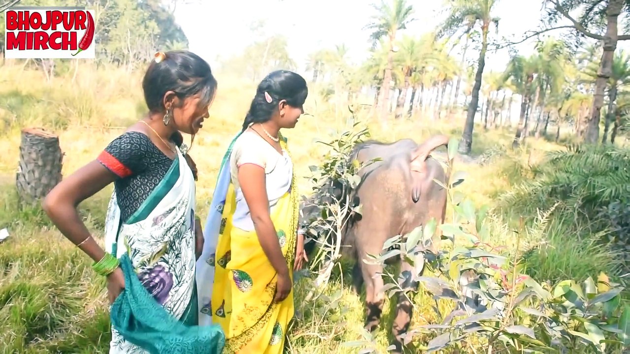 गाव देहात की दोनो बिगड़ैल भउजी भैसी के समान के बारे मे क्या क्या बात कर रही है @Bhojpuri Comedy Video