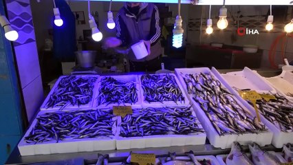 Gürcistan'dan hamsi gelmeyince fiyatlar tavan yaptı