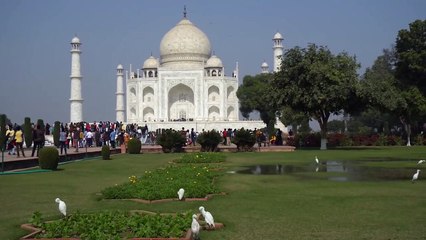 THUG OF HINDUSTAN भारत का सबसे बड़ा जालसाज़ जिसने बेच दिया था ताजमहल..