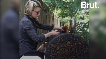 Beekeeper teaches TikTok why we should care about bees