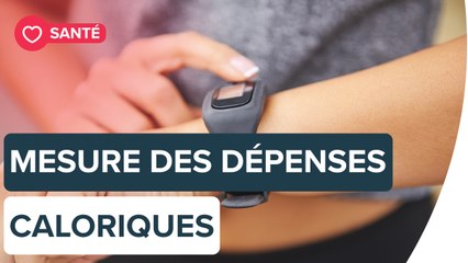 Comment sont calculées les dépenses caloriques ? | Futura