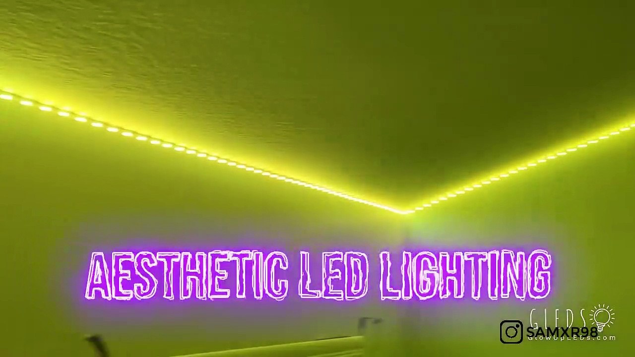 The Best TikTok Compilation