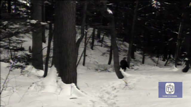 Last of the Mohicans | Season 1 | Episode 34 | The Truant | John Hart | Lon Chaney Jr.