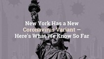 New York Has a New Coronavirus Variant—Here’s What We Know So Far