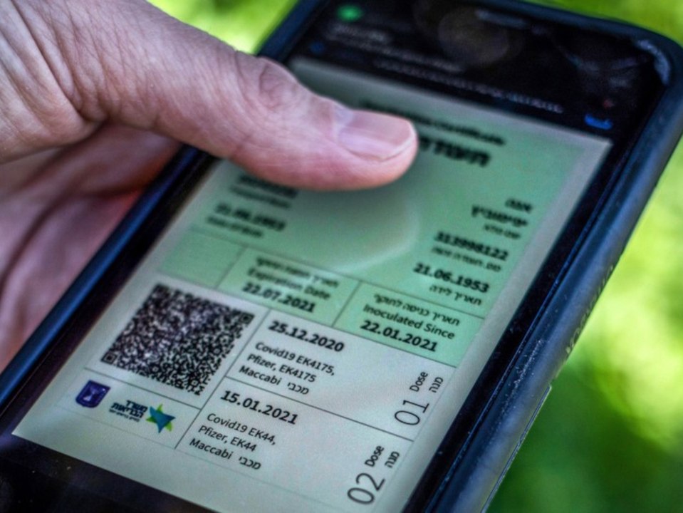 Corona: Gibt es bald in ganz Europa einen 'Grünen Pass'?