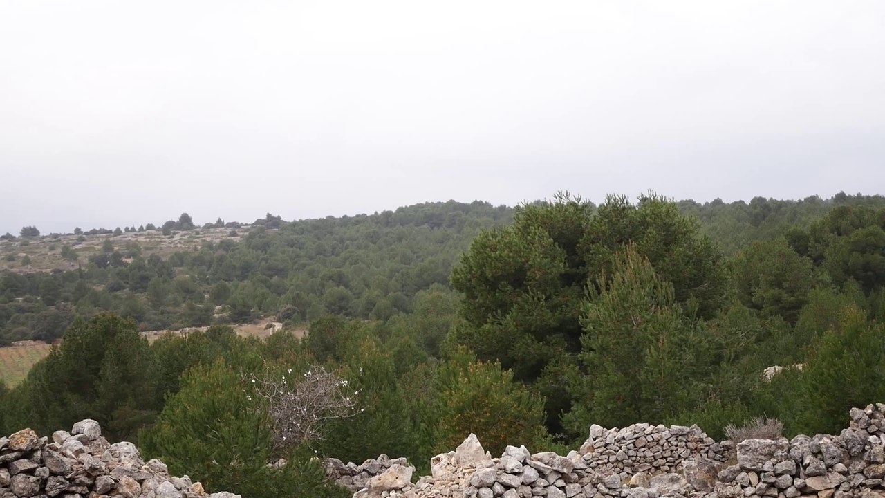 casting pekin express 2021