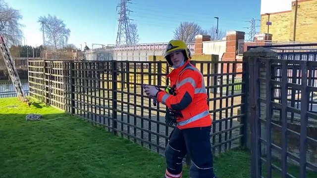 Fire fighters rescue a pigeon that was trapped in Peterborough