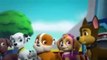 Paw Patrol S03E12 Pups Save The Paw Patroller Eng