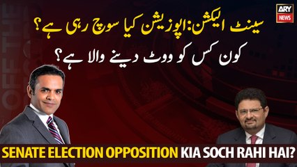 Senate Election: What is the Opposition thinking? Who is going to vote for whom?