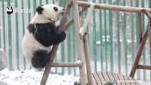 我要一步一步往上爬