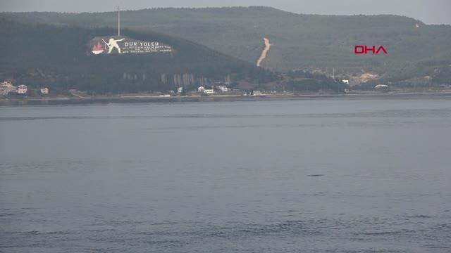 ÇANAKKALE Çanakkale Boğazı'nda yunus sürüsü görüntülendi