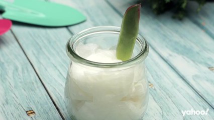 Ableger ziehen und umtopfen So machst du aus deiner Zimmerpflanze eine Familie