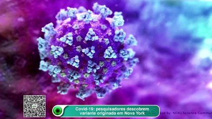 Covid-19- pesquisadores descobrem variante originada em Nova York