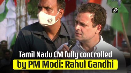 下载视频: Tamil Nadu CM fully controlled by PM Modi: Rahul Gandhi