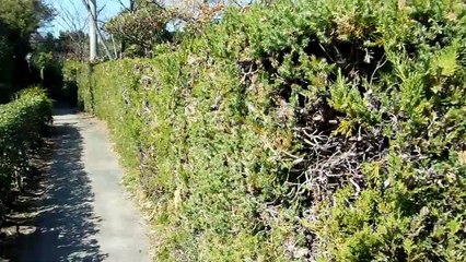 Old Castle Town Walk in Japan