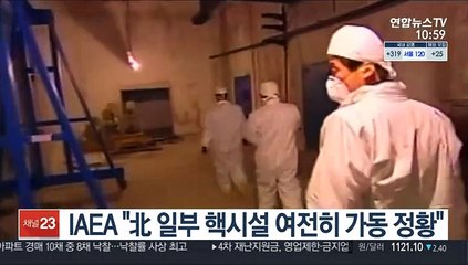 IAEA "北 일부 핵시설 여전히 가동 정황"
