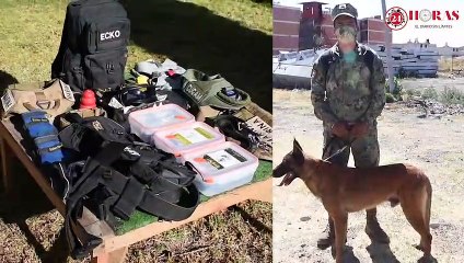 Así son los entrenamientos de los binomios caninos de la Semar