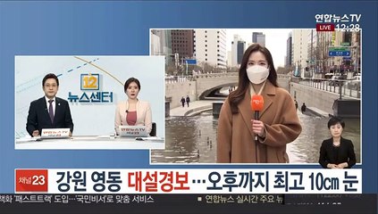 [날씨] 강원 영동 대설경보…오후까지 최고 10㎝ 눈