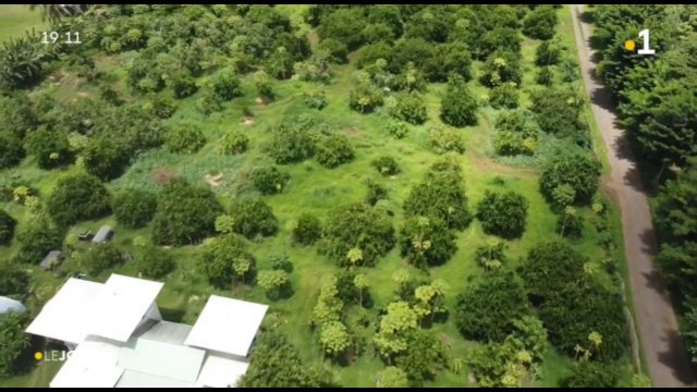 Agriculture : un secteur en manque de débouchés