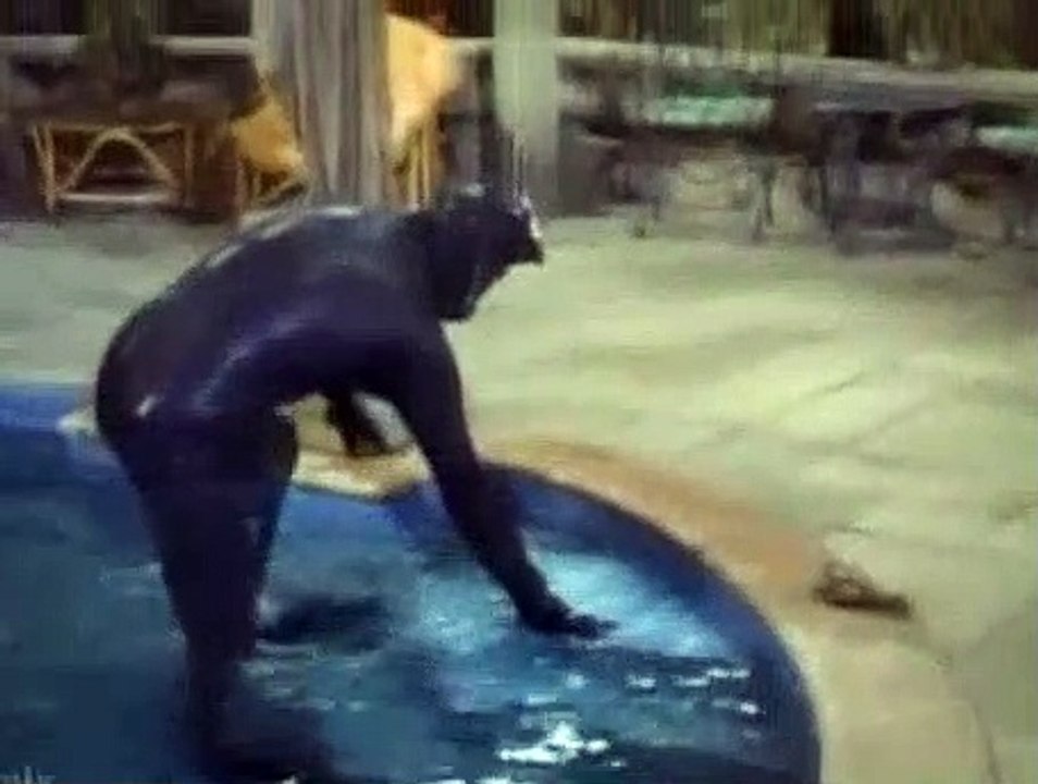 The Beverly Hillbillies Season 9 Episode 8 The Frog Family