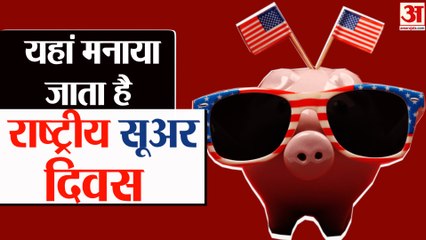 इस देश में क्यों मनाया जाता है National Pig Day , जानिए कुछ रोचक बातें