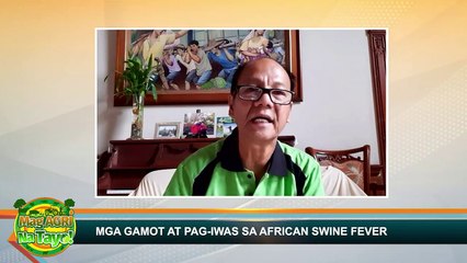 _"PAANO MAIIWASAN ANG AFRICAN SWINE FEVER" Mag-Agri Na Tayo! Ep-2