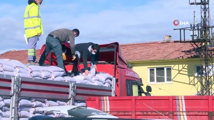 Ankara Büyükşehir Belediyesi nohut tohumu desteği başladı