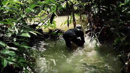 looking for fish in this lucky