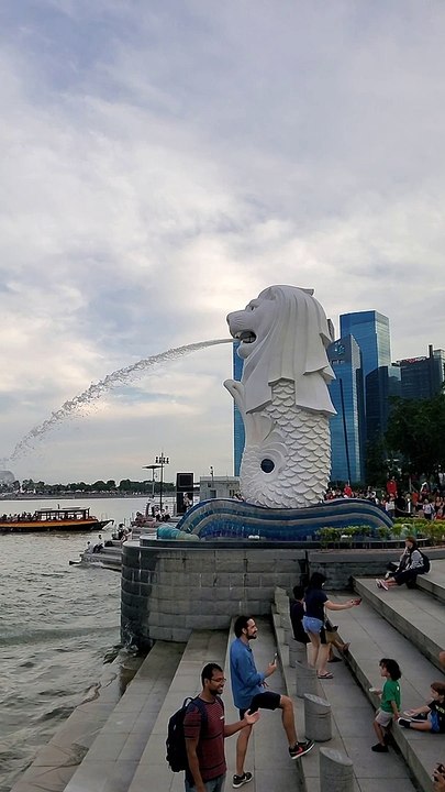 Singapor dragun