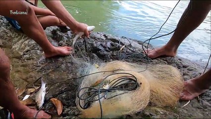 hunting river fish with a net