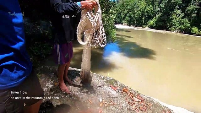 Traditional_ Cast Net Fishing in the River _ Catch Fish and eels in The River with Beautiful Nature
