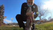 Cop adopts puppy rescued by fellow officers | All Good