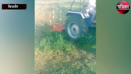 बिजनौर में किसान ने नष्ट कर दी खड़ी फसल चला दिया ट्रैक्टर