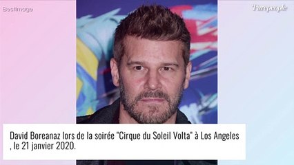 David Boreanaz se filme nu au lit : une vidéo (très) intime du beau gosse agite les réseaux sociaux