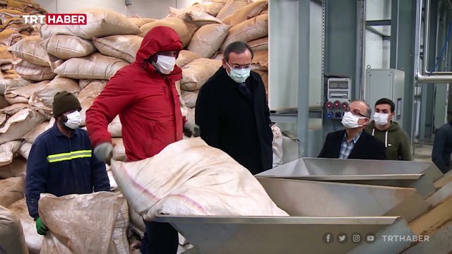 Çay atıklarından üretilen soğuk çay ekonomiye kazandırılıyor