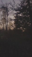 Riff - Ride. Pt. 6 (Vertical Video) | Shot on iPhone & Produced with the OP-Z