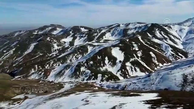 AFYONKARAHİSAR - Emir Dağları'ndaki yılkı atları drone ile görüntülendi