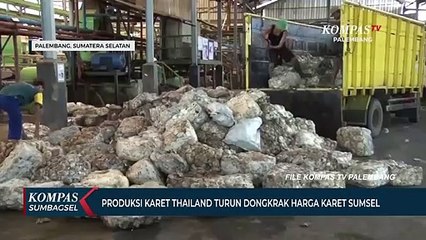 Produksi Karet Thailand Turun Dongkrak Harga Karet Sumsel