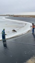 Deer Runs Away After Being Rescued From Icy Lake