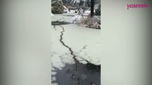 Buz tutan gölde kendilerine yol açan ördekler!