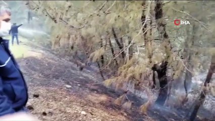 Fethiye’de orman yangını