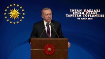 Cumhurbaşkanı Erdoğan, İnsan Hakları Eylem Planı Tanıtım Toplantısında konuştu