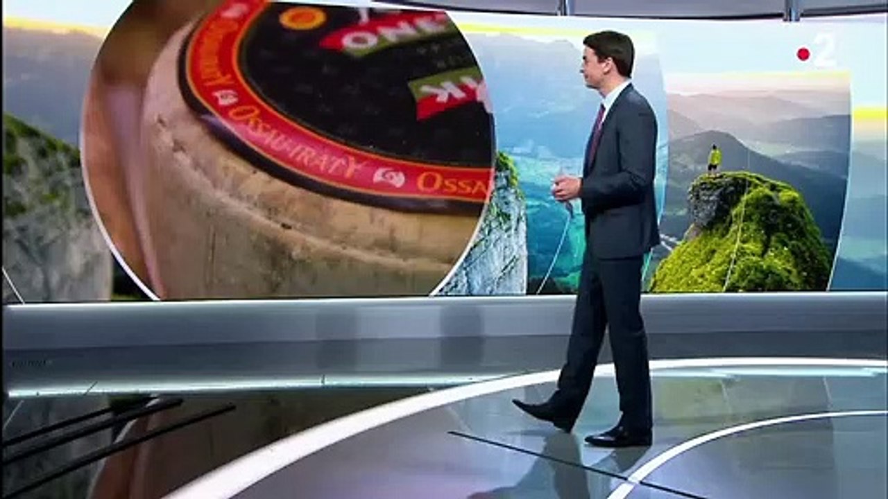 Pyrénées : à la découverte du mythique fromage de brebis, l'Ossau-Iraty